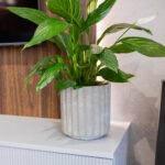 Mieszkanie, Wieliczka-59